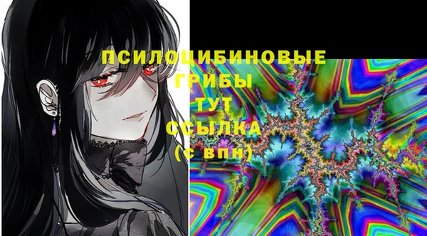 синтетический гашиш Арсеньев