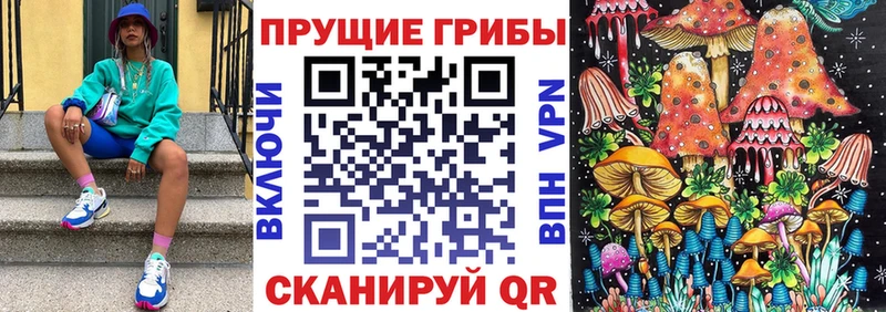 дарнет шоп  Лермонтов  Галлюциногенные грибы прущие грибы 